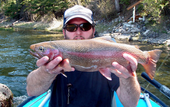 Swan River Montana Rainbow Trout Fishing