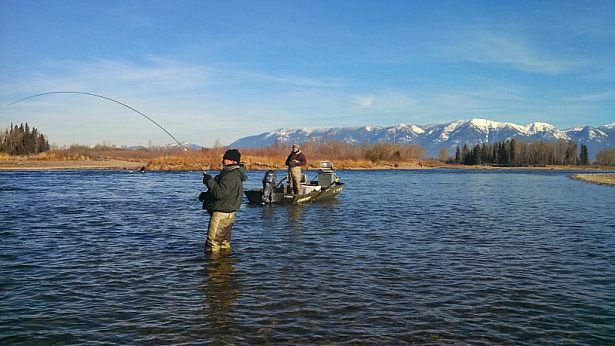 Fly Fishing the Flathead River Montana