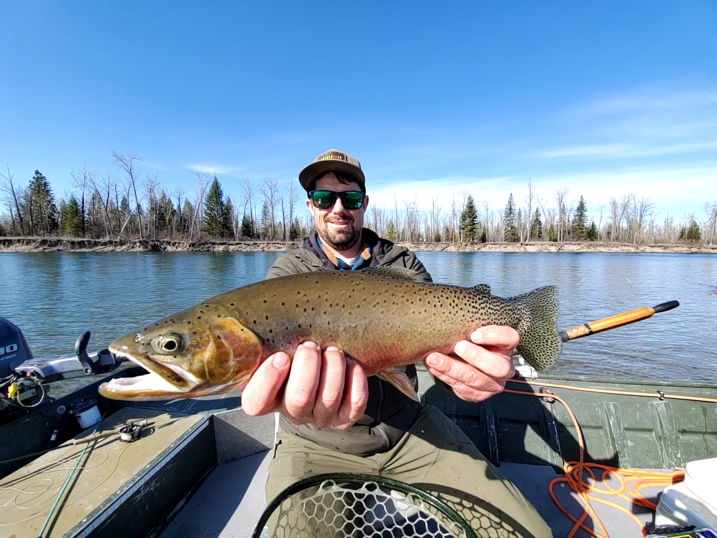 Flathead River Westslope cutthroat trout fly fishing glacier park