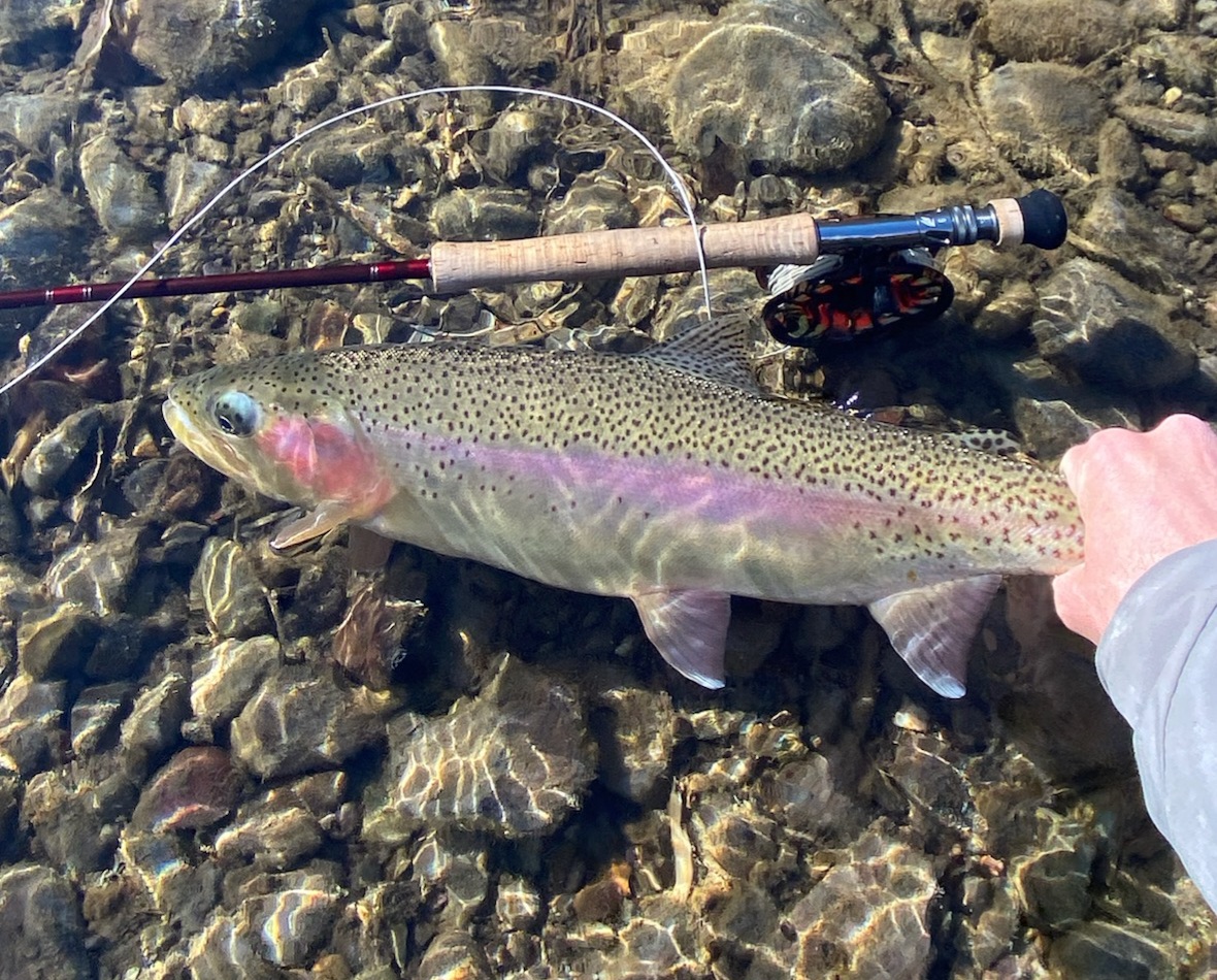 Bigfork Montana Fly Fishing