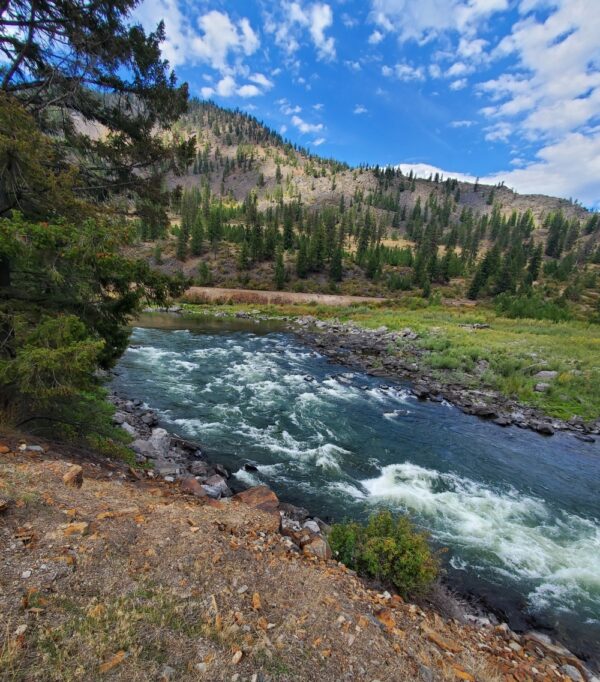 Bigfork Montana Fly Fishing Report And Blog