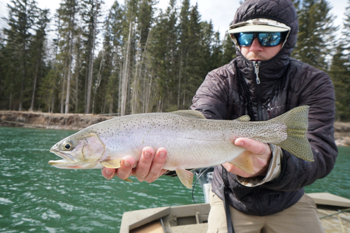 Bigfork Montana Fly Fishing Report and Blog