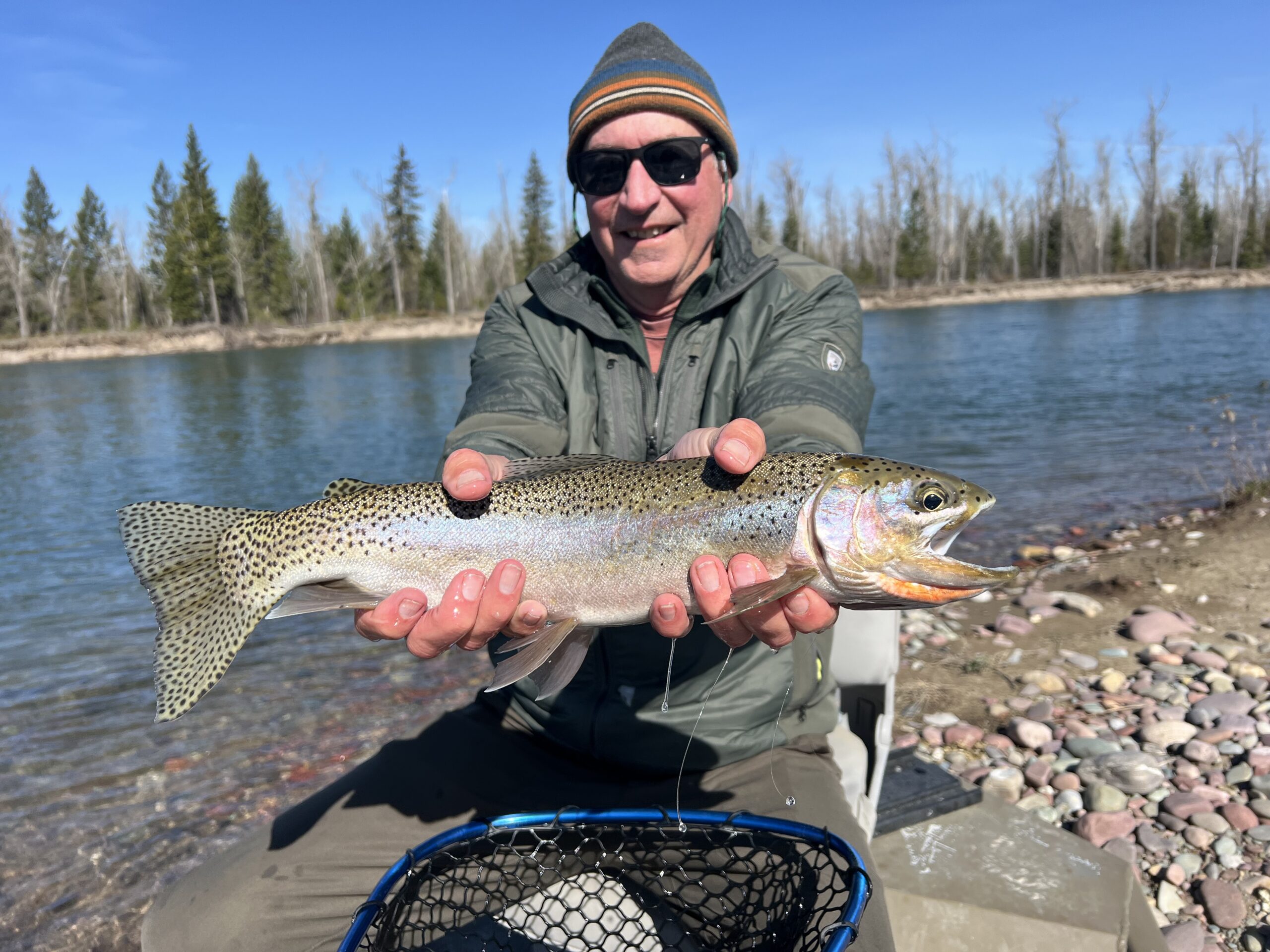 Flathead River Cutthroat Rainbow trout hybrid Bigfork MT